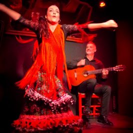 flamenco-andalousie-espagne-vacances-seville