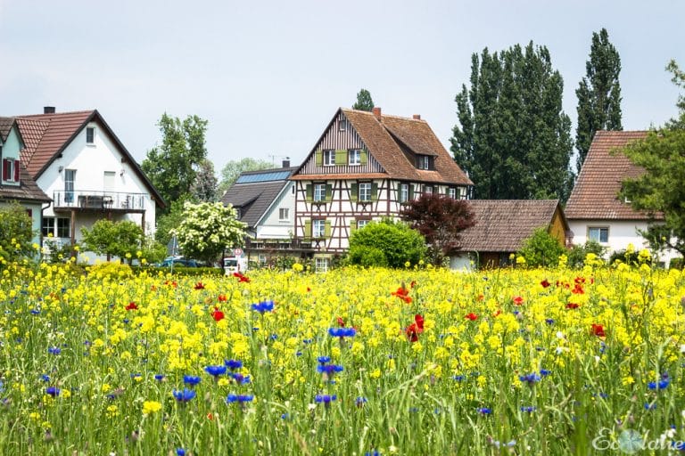 Maison_allemande_typique_Reichenau