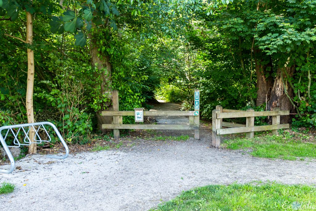 forêt canadienne aménagée au public