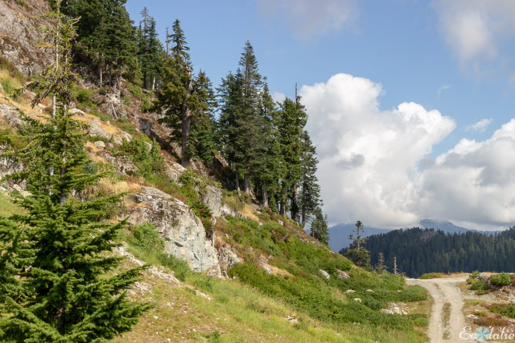 Randonnee_Grouse_Mountain_en_ete