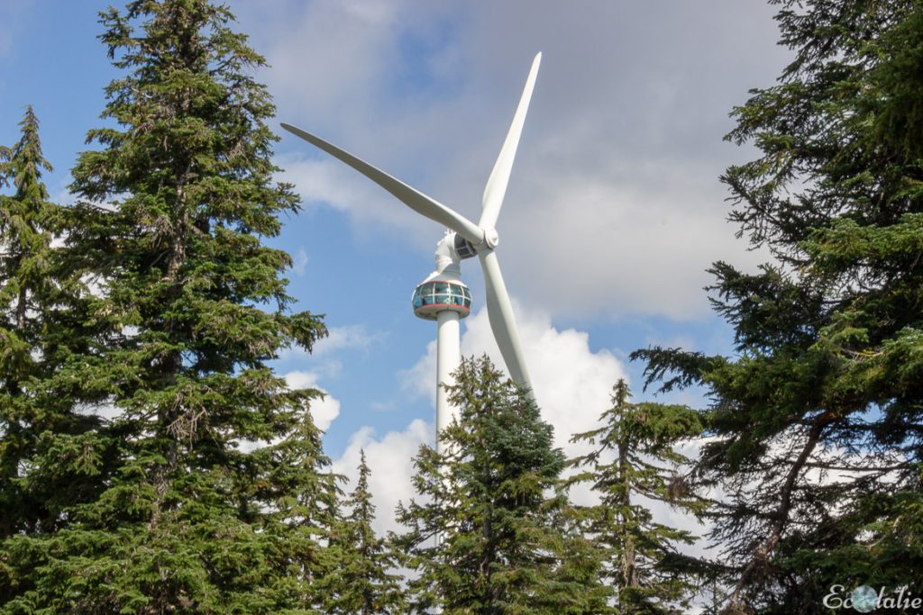 point_de_vue_Grouse_Mountain_eolienne