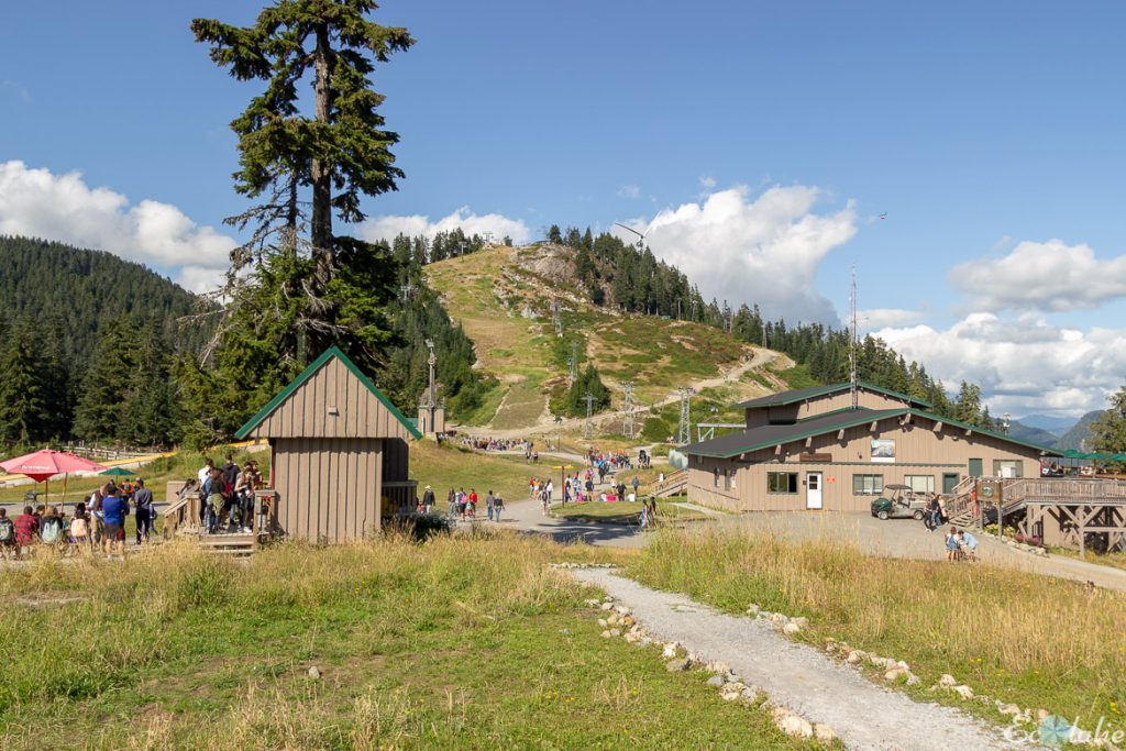 Grouse_Mountain_en_ete