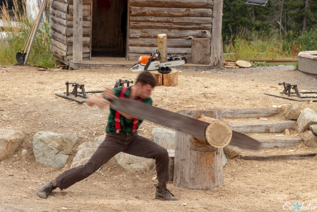 Vancouver_spectacle_bucherons