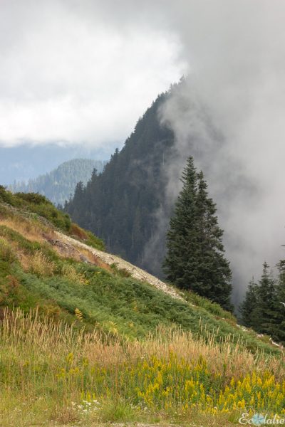 Montagne_Vancouver_Canada