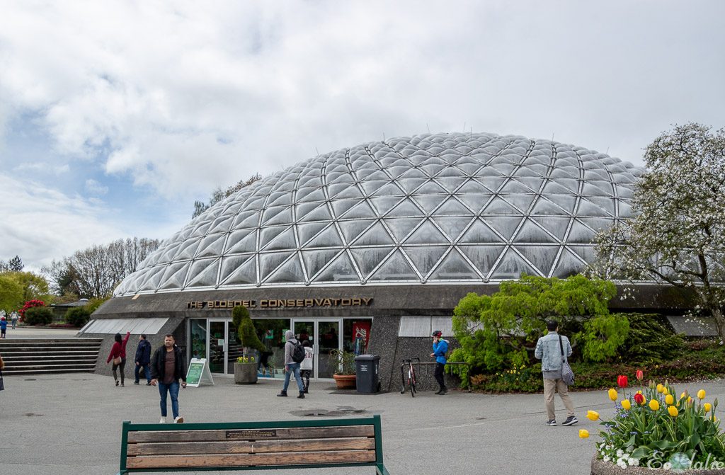 Bloedel-Conservatory-dome-Vancouver