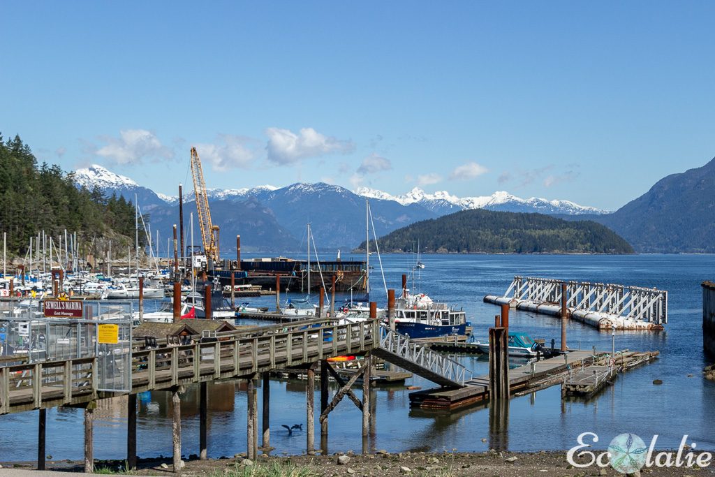 Horseshoe-Bay-terminal