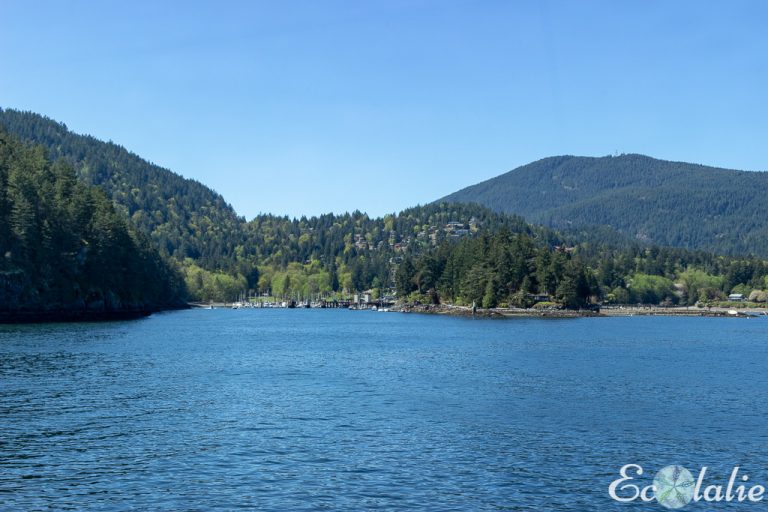 Arrivee-Bowen-Island-Snug-Cove
