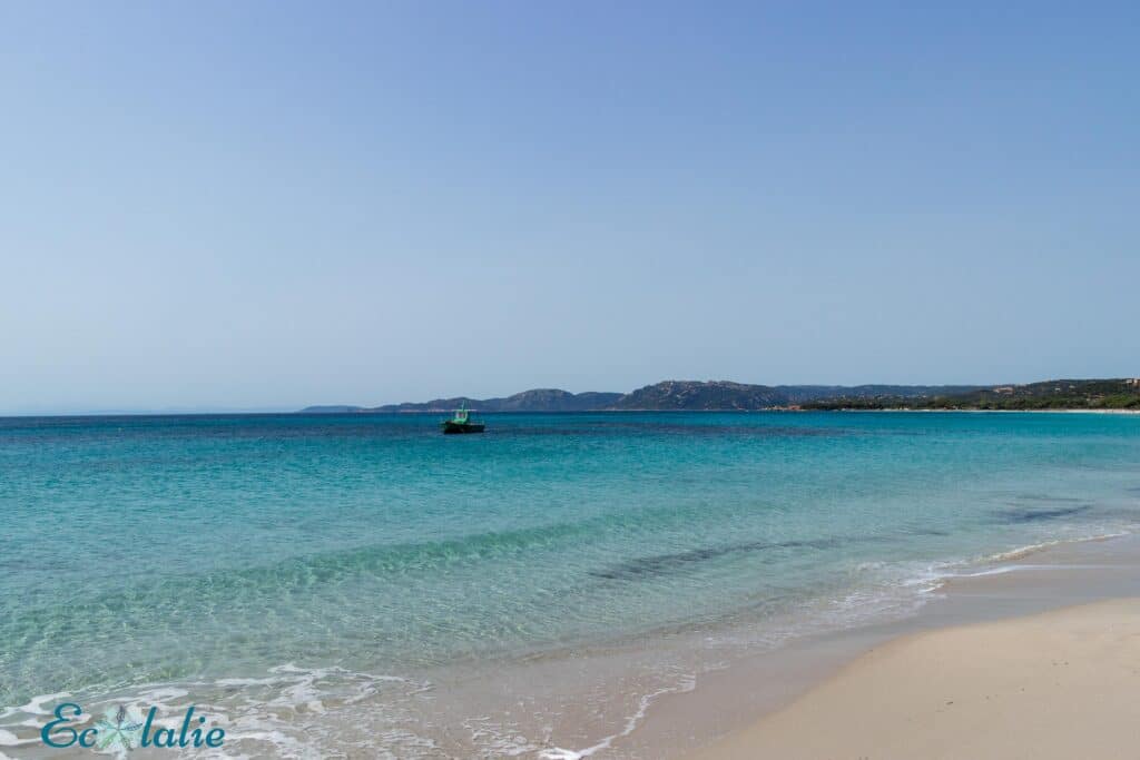 palombaggia-plages-de-corse-du-sud