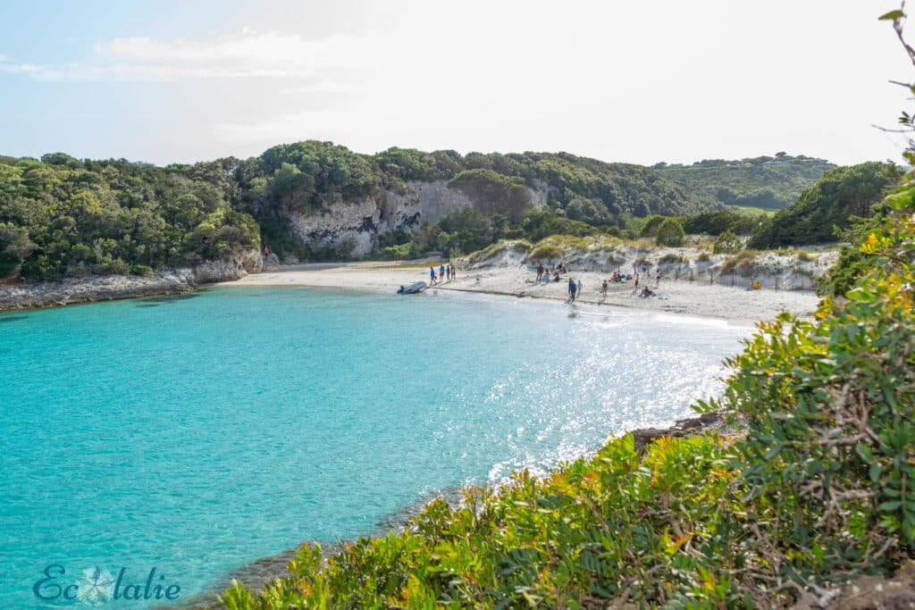 plages-de-corse-petit sperone