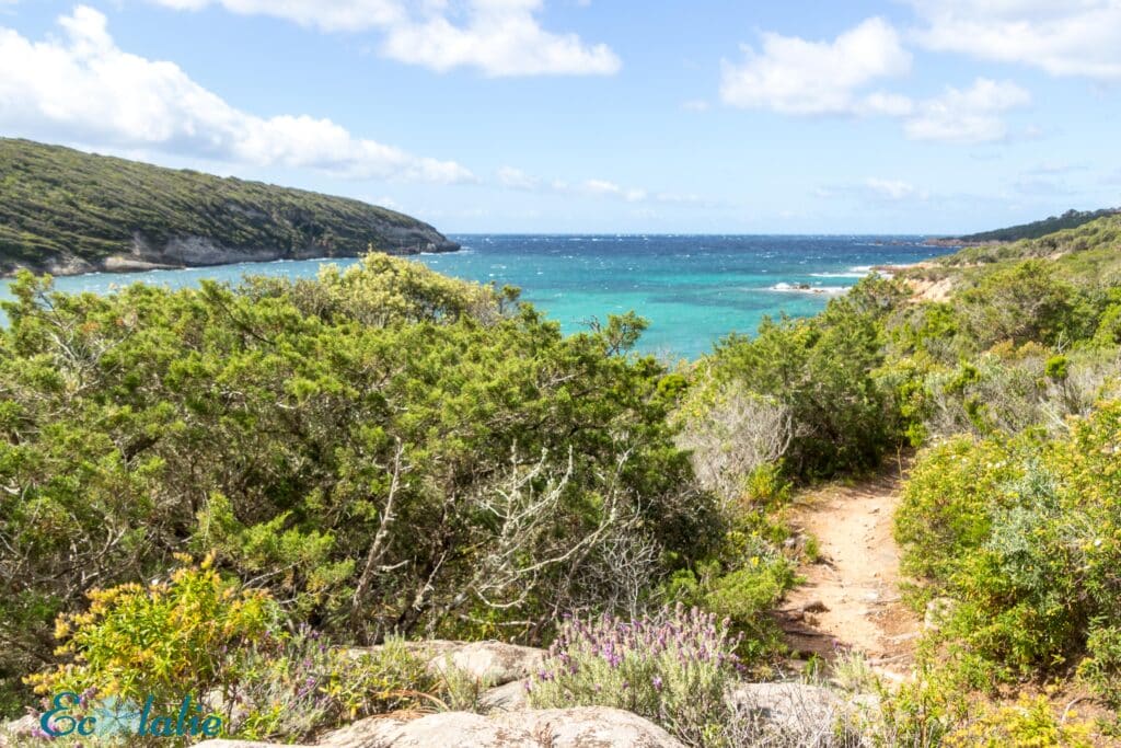plages-de-corse-sentier-randonnée-paranga