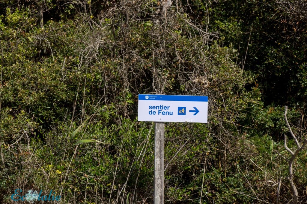 plages-de-corse-a-pied-sentier facile