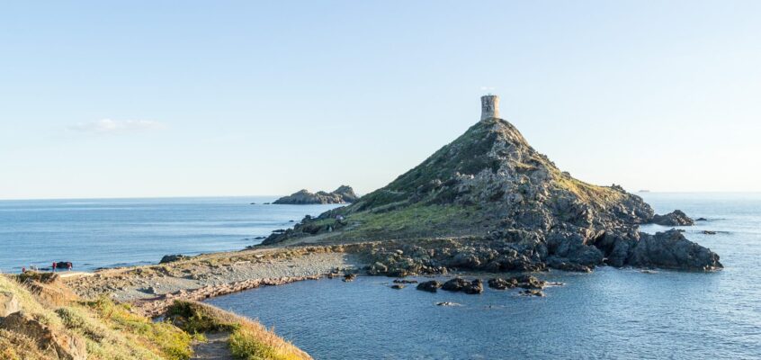 Voyage en Corse en Famille : Les Meilleurs Livres