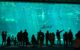 aquarium-avec-des-enfants