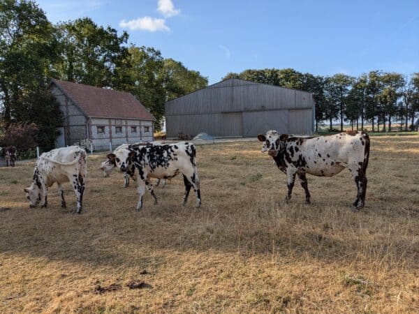 vacances-a-la-ferme