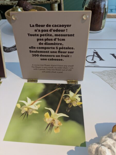 etretat-en-famille-que-faire