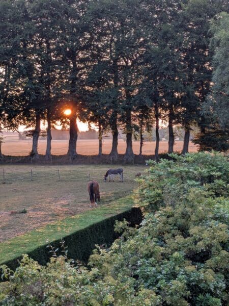 sejour-en-normandie